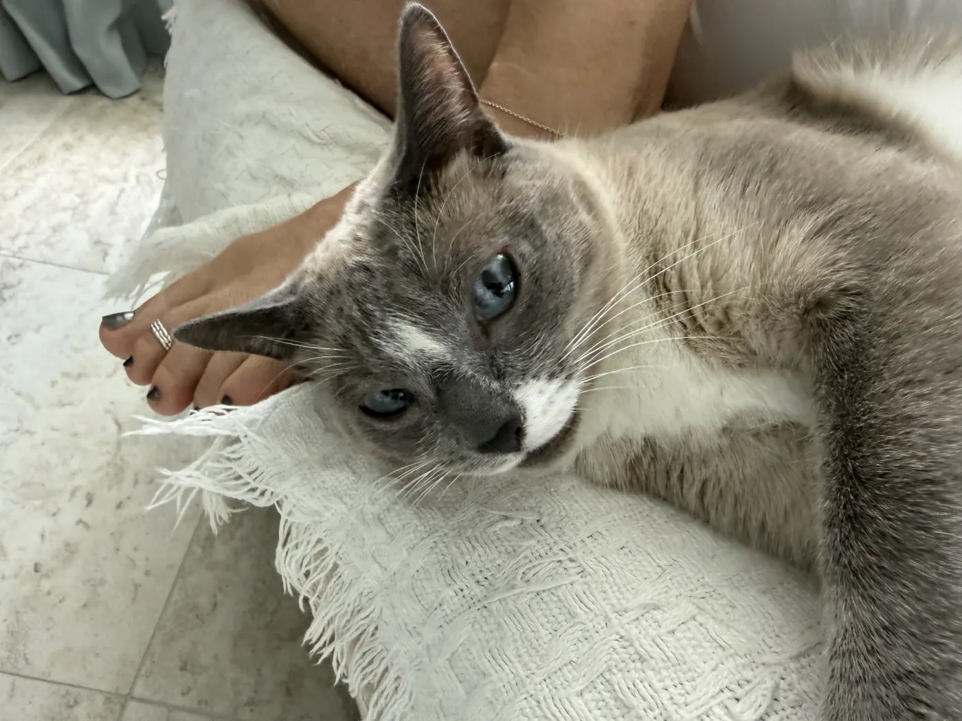 Lily