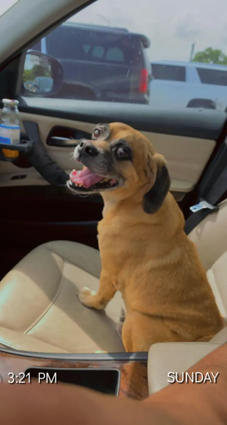 Max