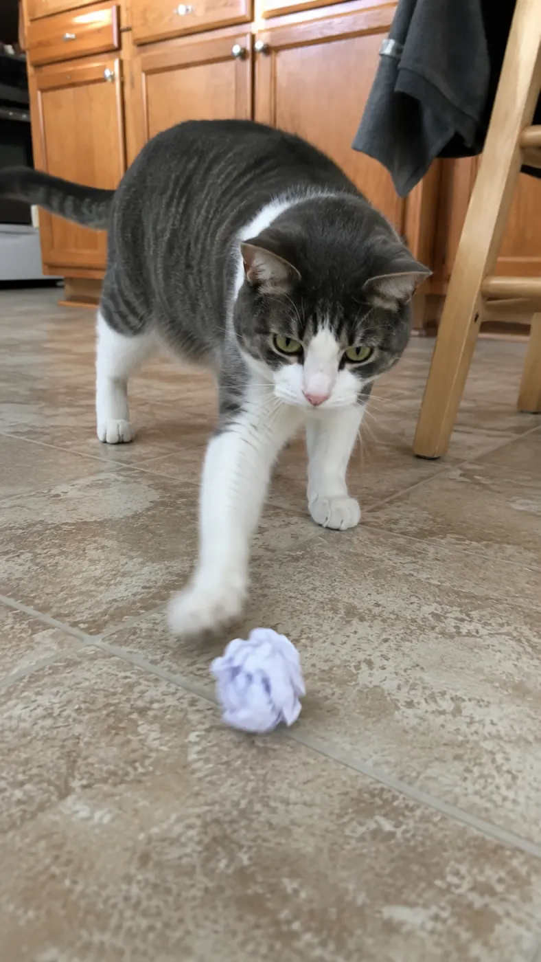 Rosie