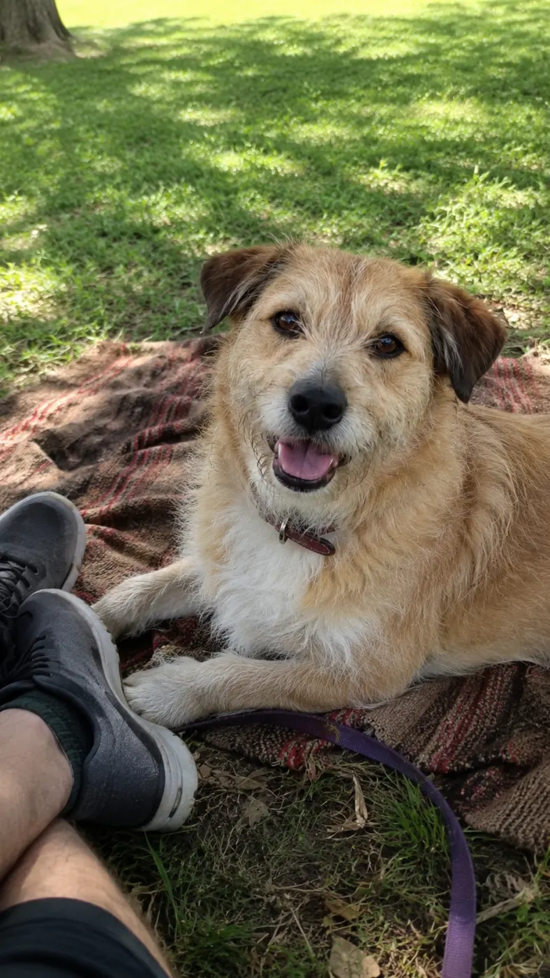 Baxter