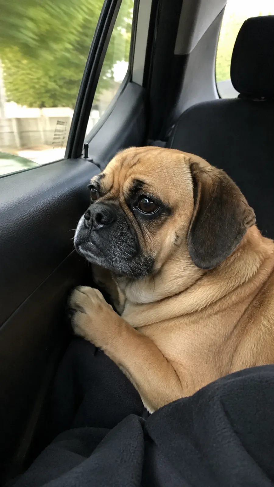 Milo