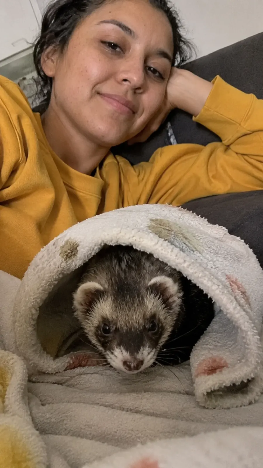 Noodle