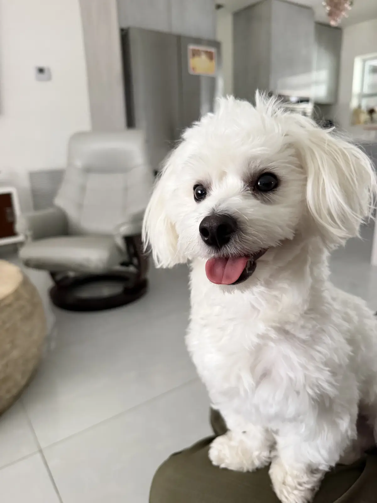 Yuki