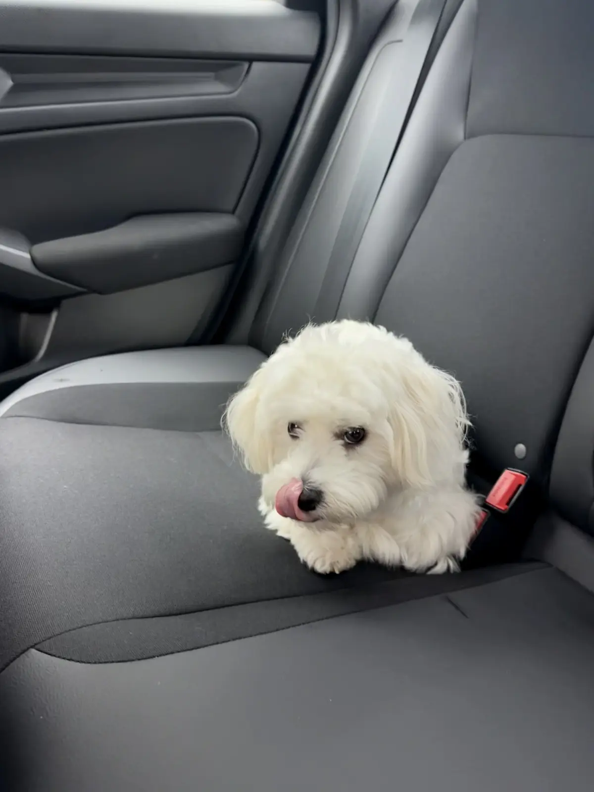 Yuki