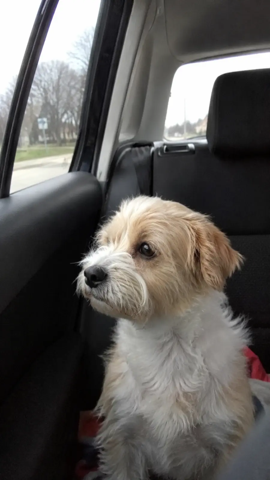 Benny