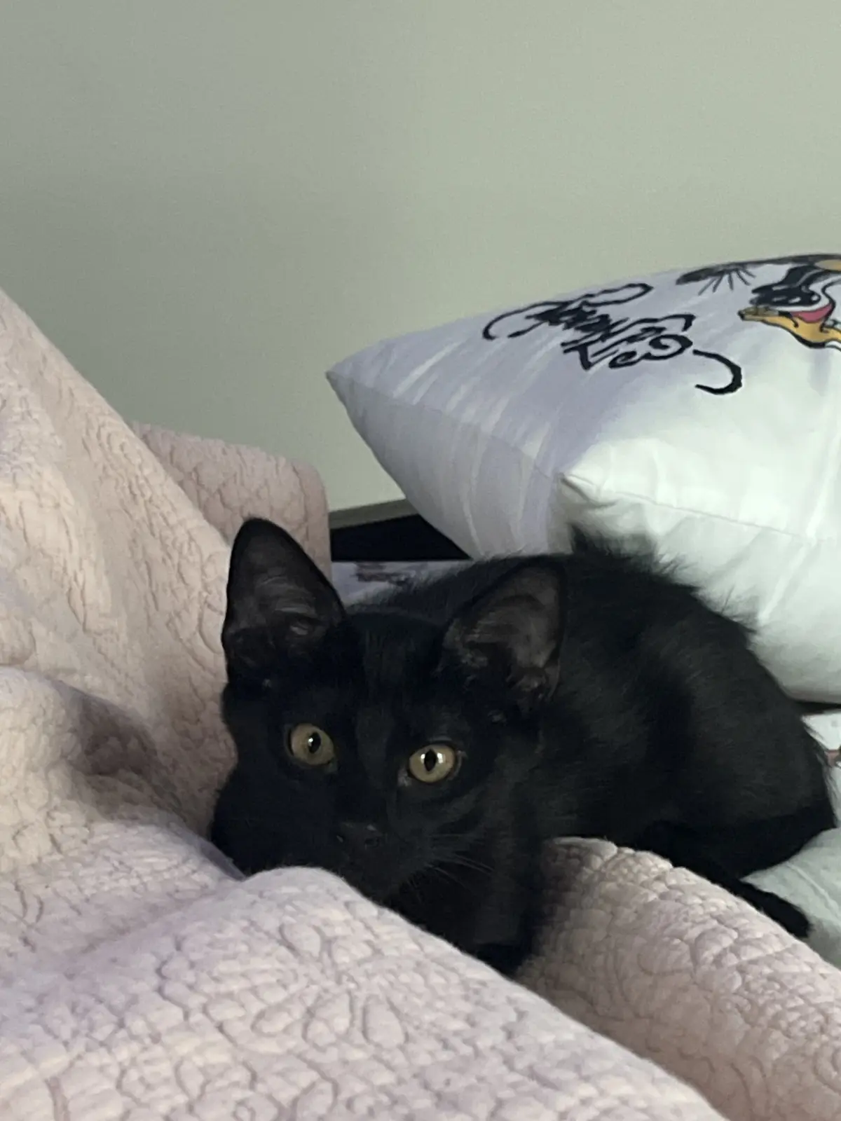 Onyx
