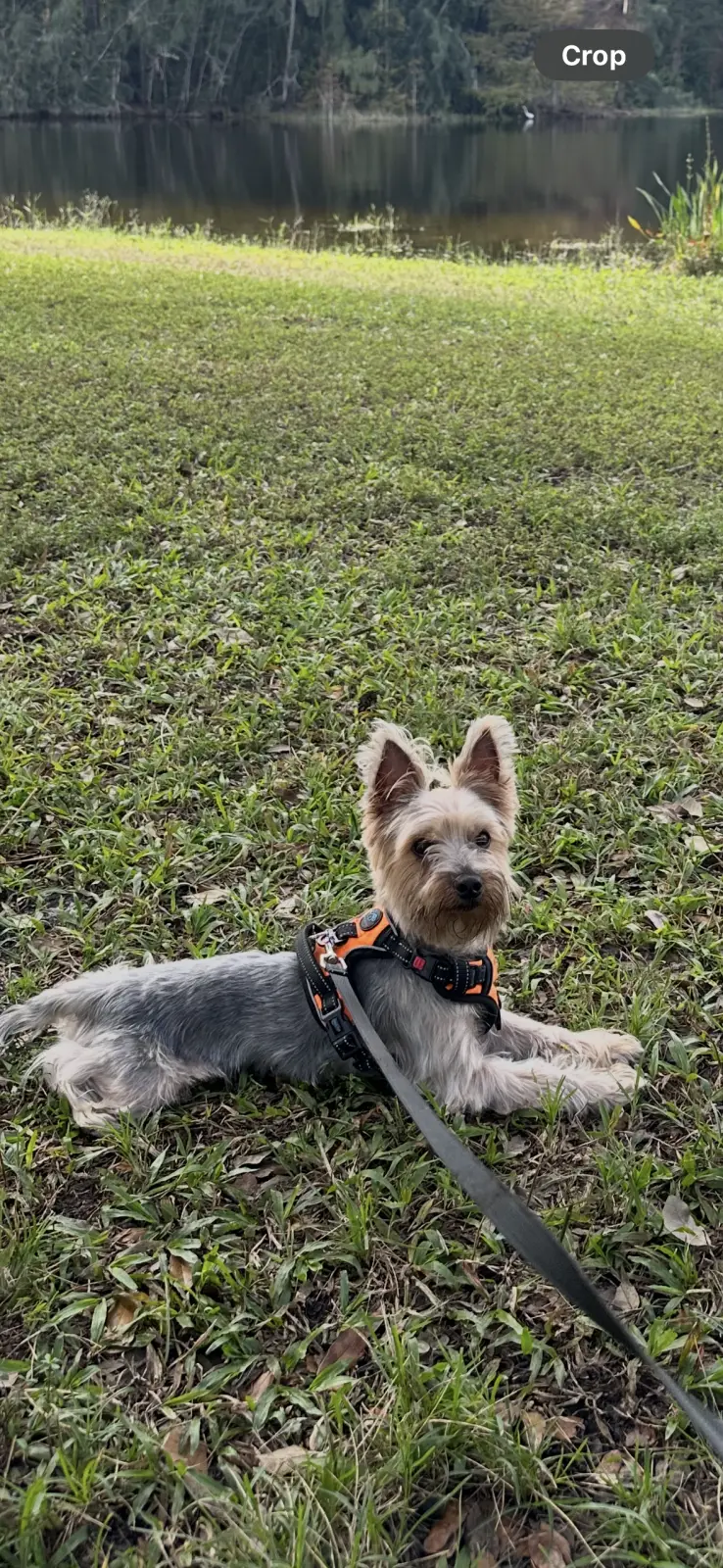 Coco
