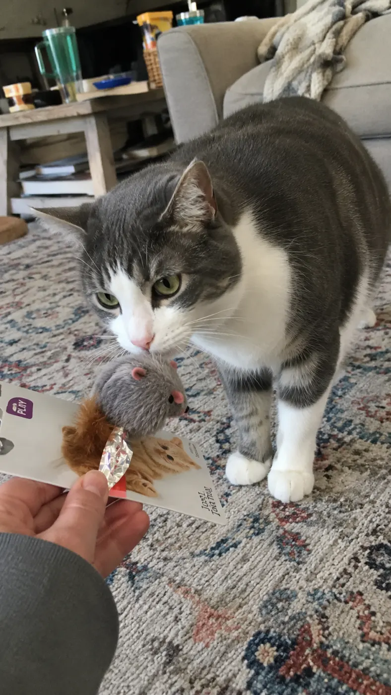 Rosie actually liked the new toy