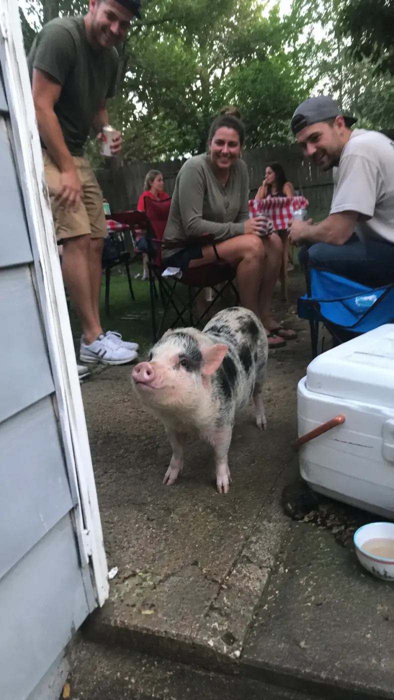 Pickles stole the whole backyard hangout