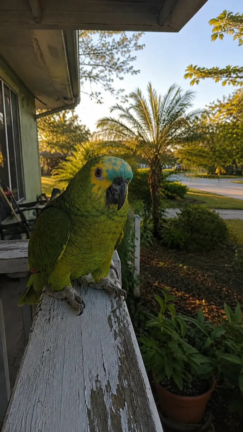 Caught inspecting the porch plants