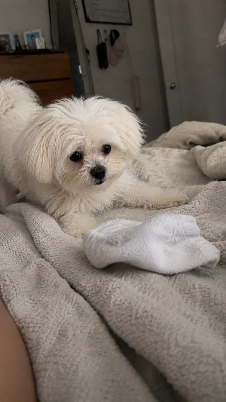 She really thought that sock was hers