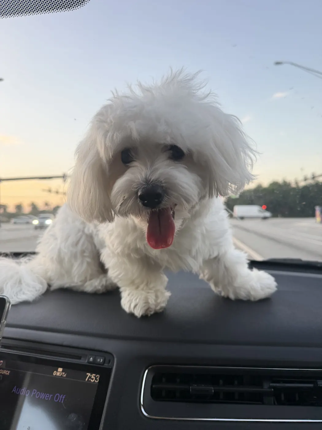 Yuki