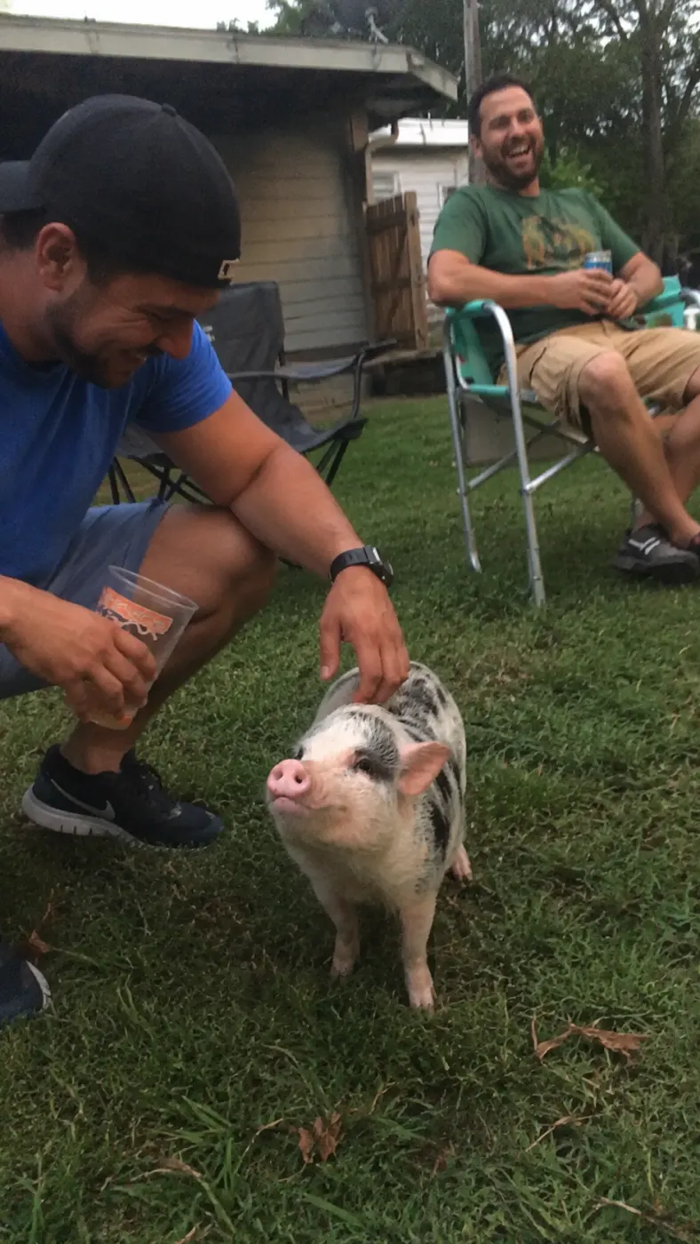 Pickles stole the whole backyard hangout