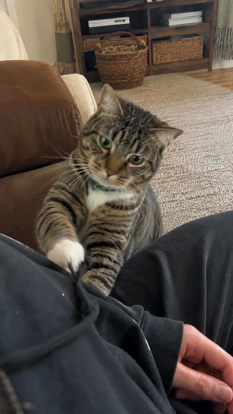 Mabel took the hoodie string personally